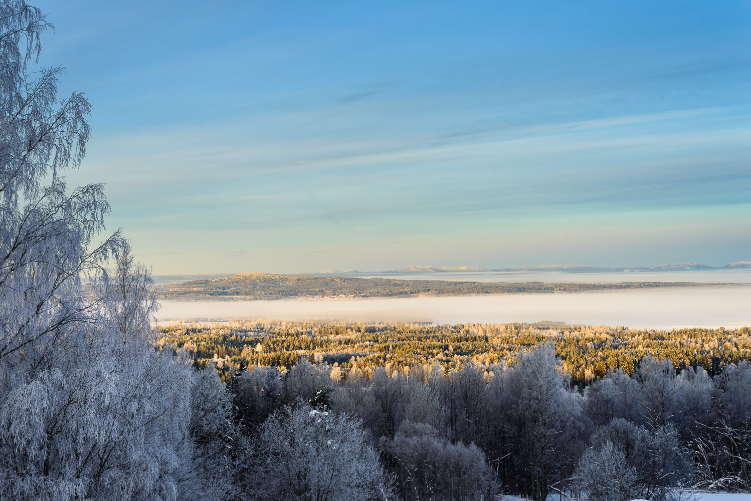 Kalter Wintermorgen