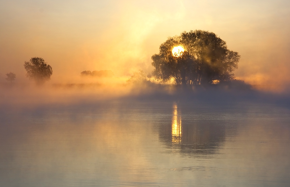 Morgennebel