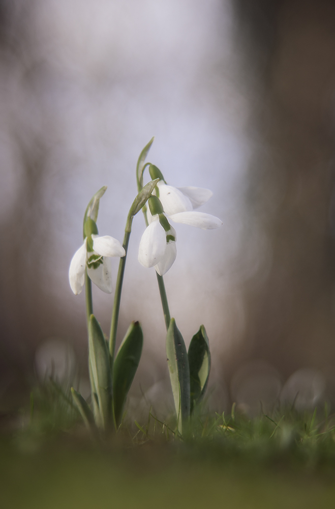 Ein Touch Frühling