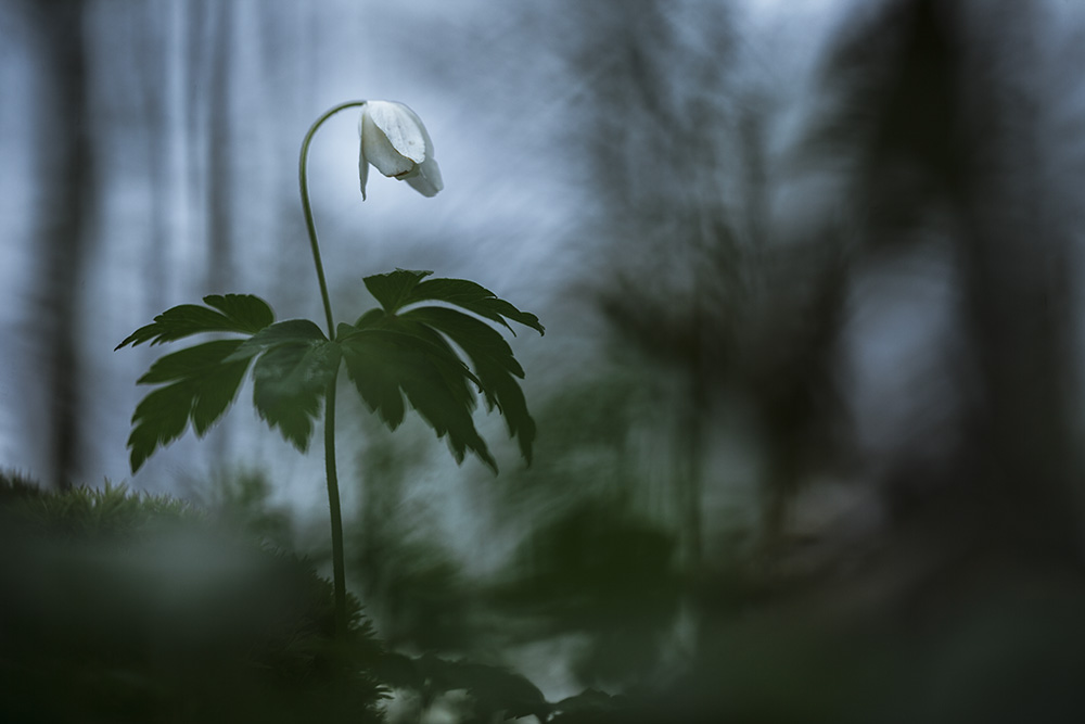 Lichtblick in der Dunkelheit