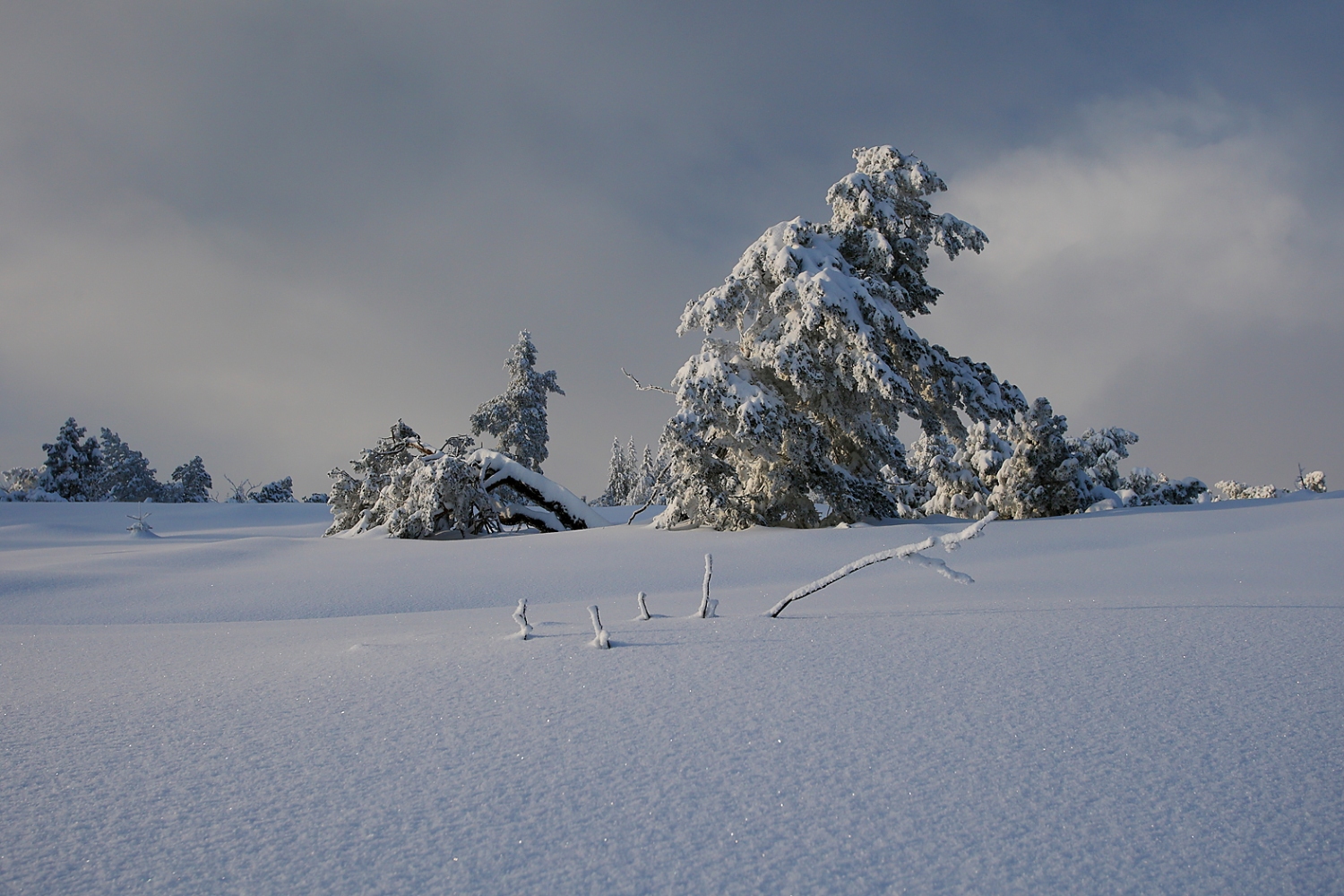 Schnee, Ruhe