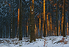 Eifelsonne