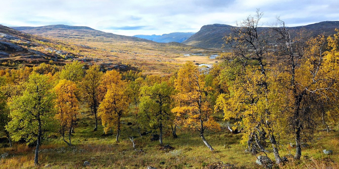 Herbstliches Norwegen