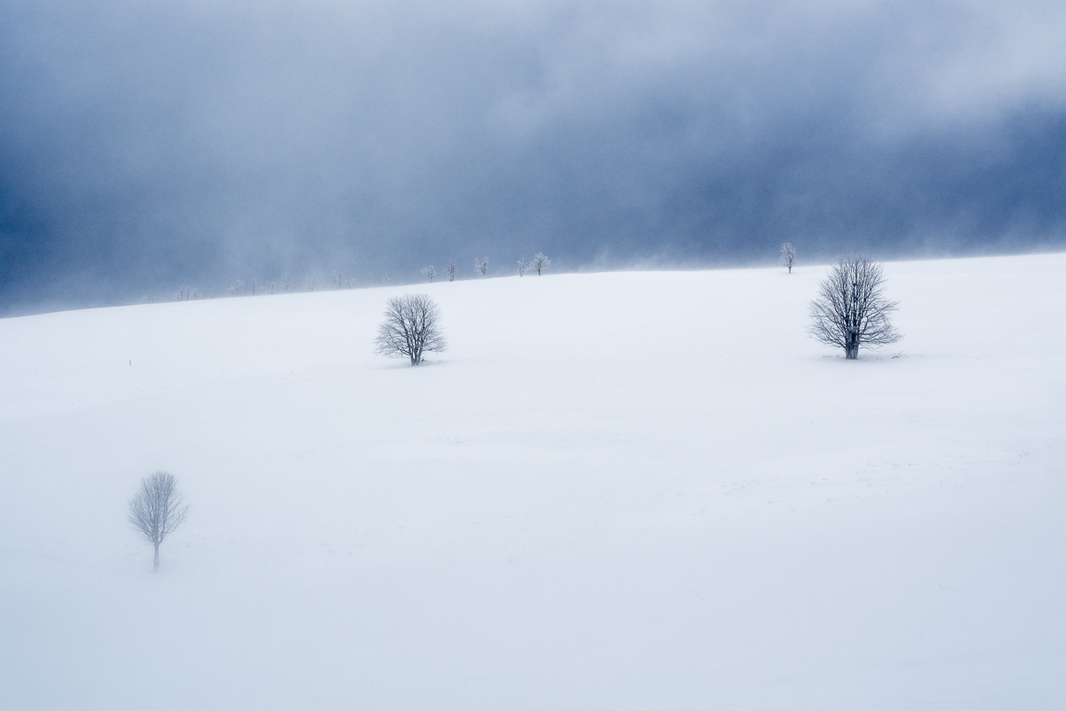 Schneegestöber