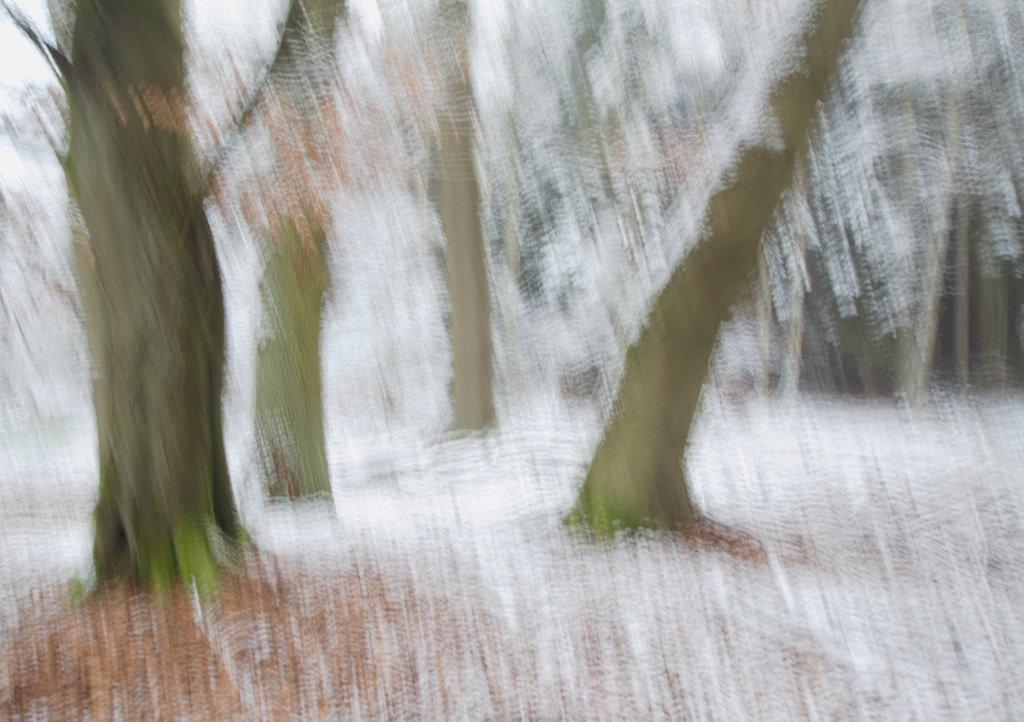 winterlicher Wischerwald