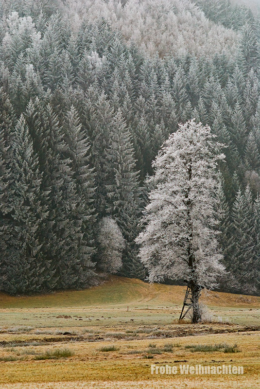 Frohe Weihnachten