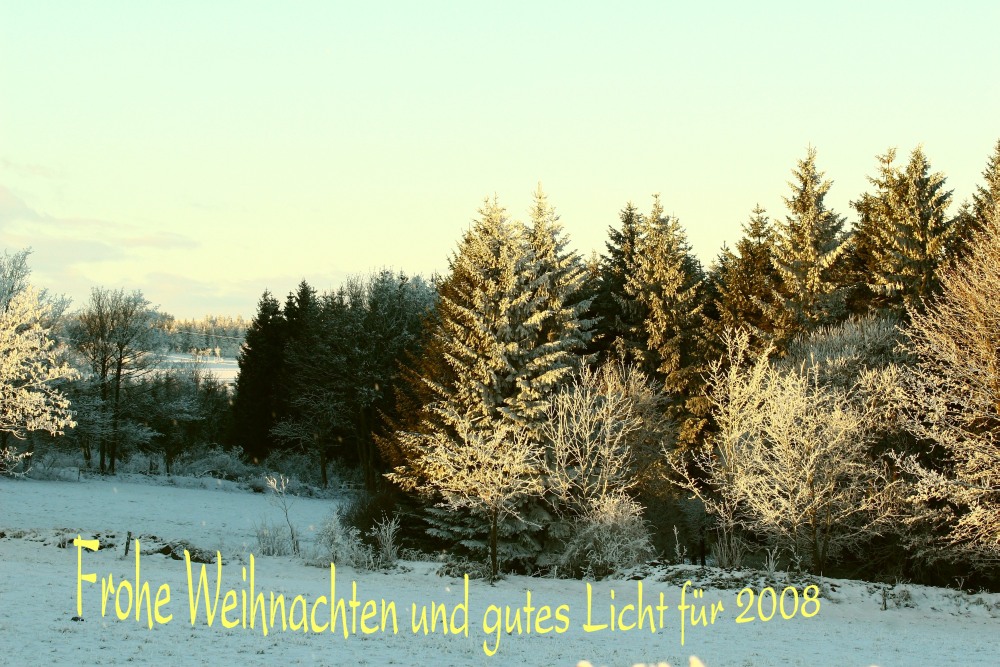 Weihnachtsgrüße