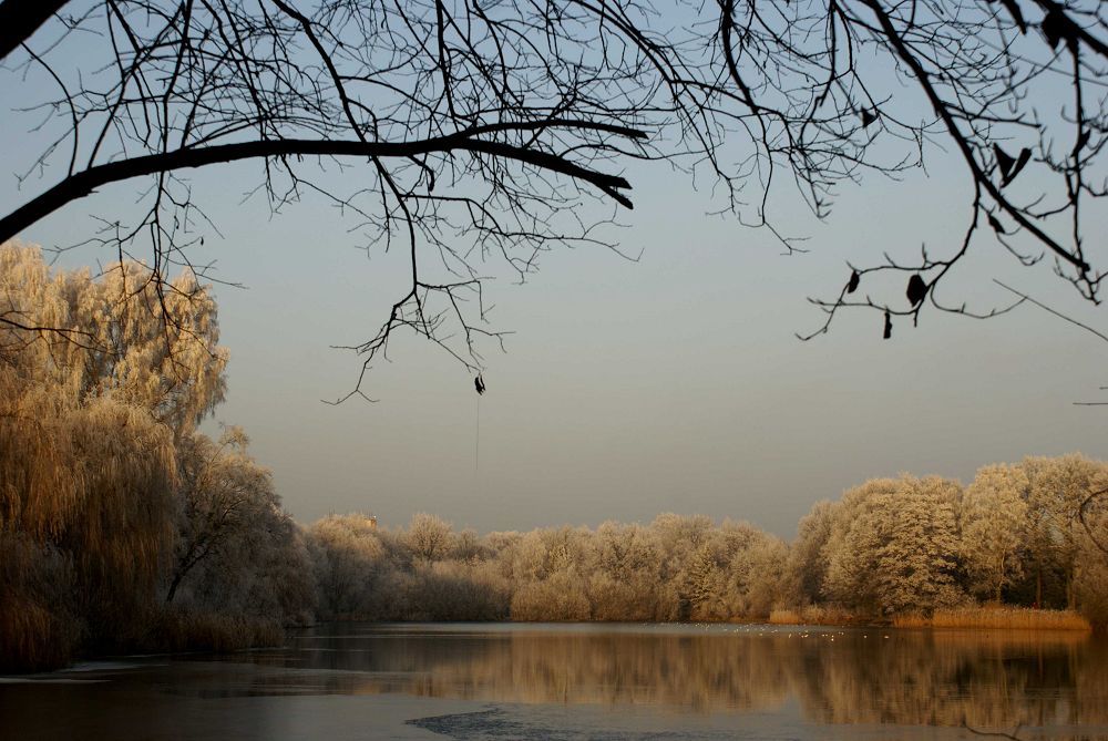 Frost am See