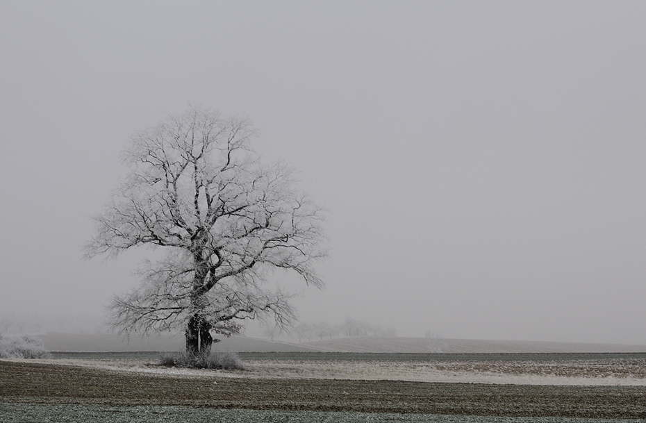 Winterreise