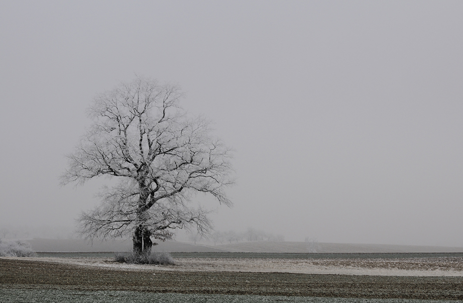 Winterreise