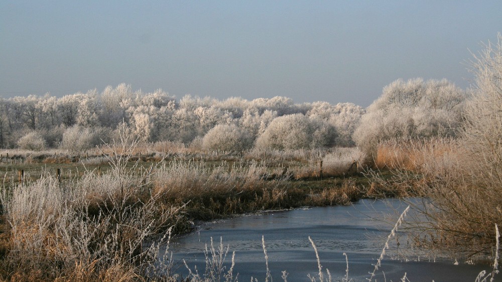 Winterlandschaft