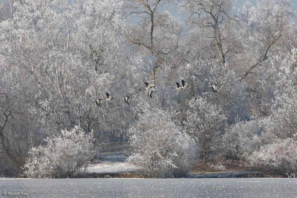 Eigentlich eine Winterlandschaft