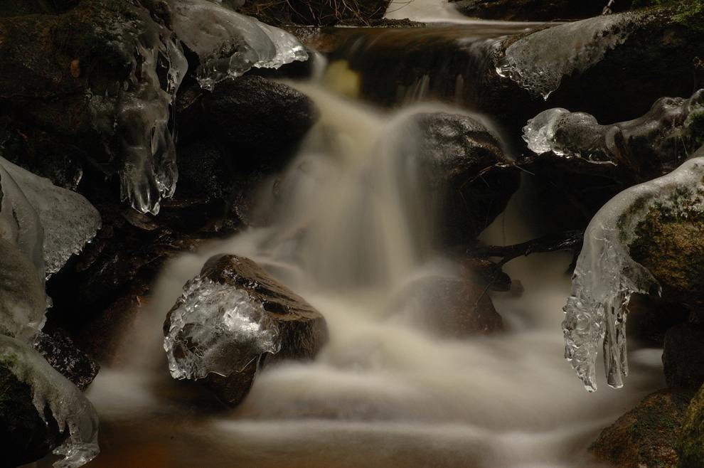 Winter im Brockenwald