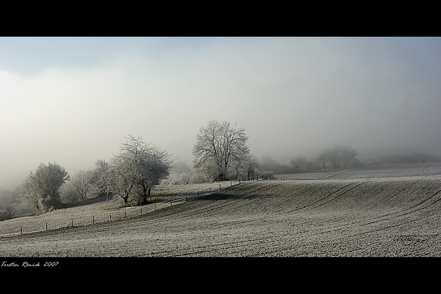ohne Titel
