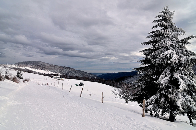 Vogesem im Schnee (2)