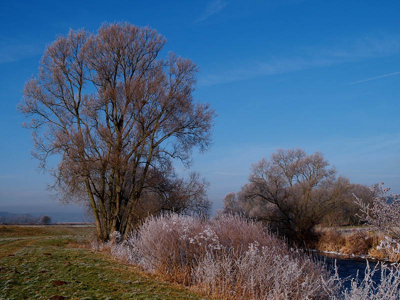 Winter an der Lahn