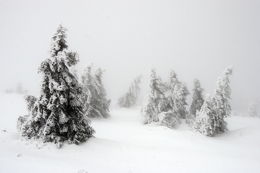 Winter auf dem Brocken