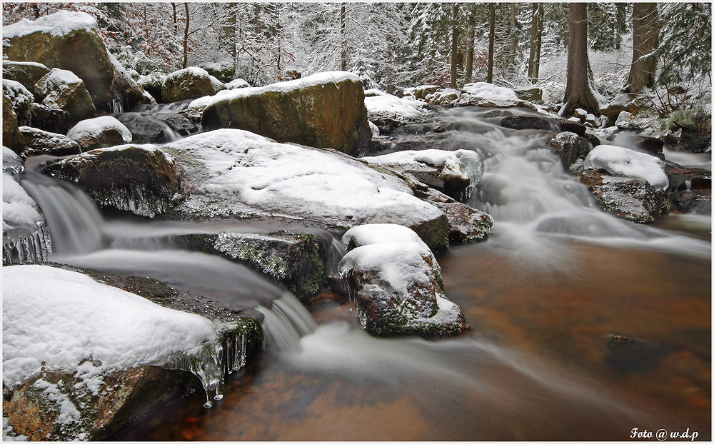 " Bode NSG Harz "