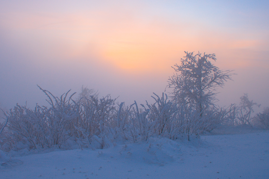 Sonnenuntergang im Nebel