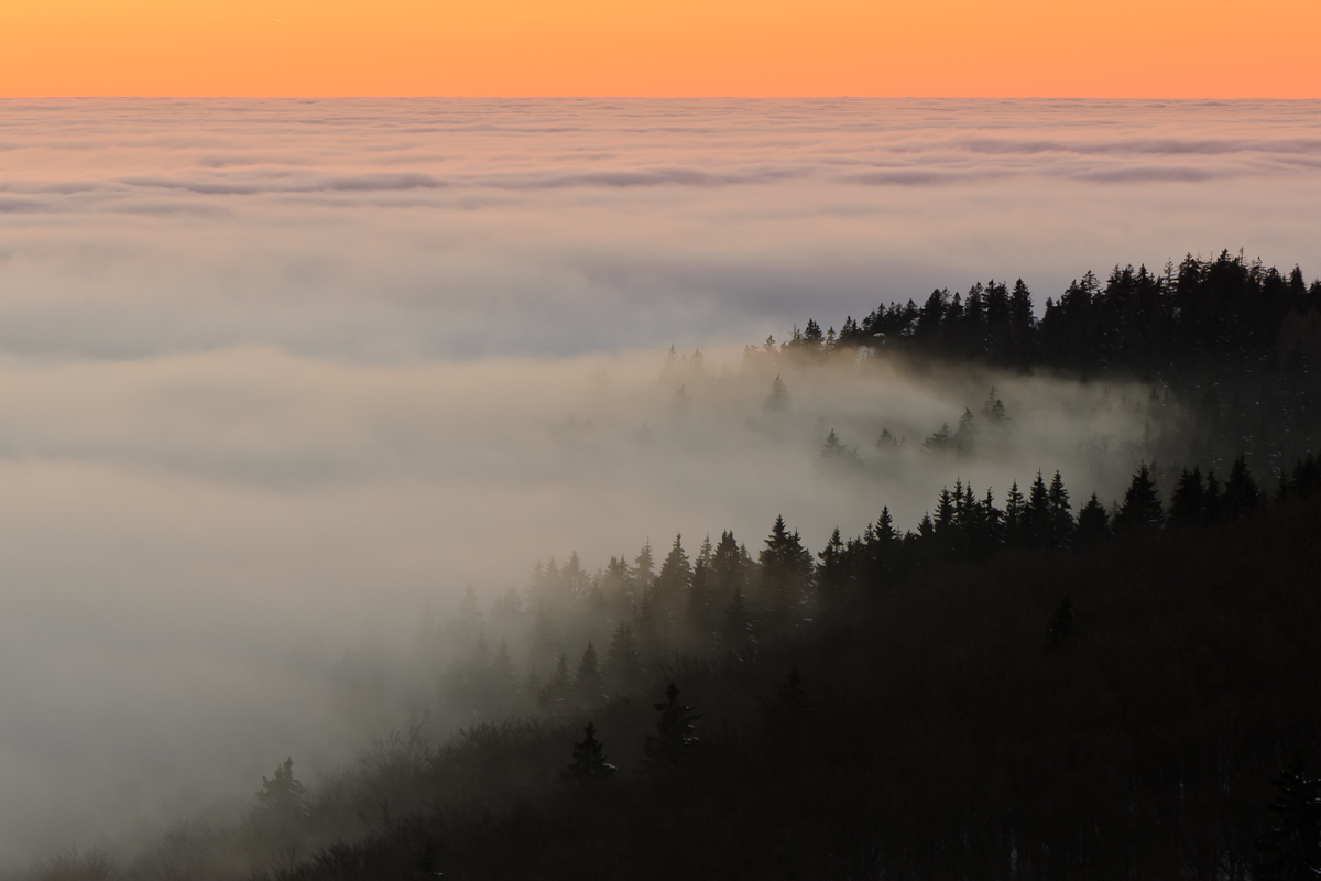 Wolkenmeer am Schneeberg