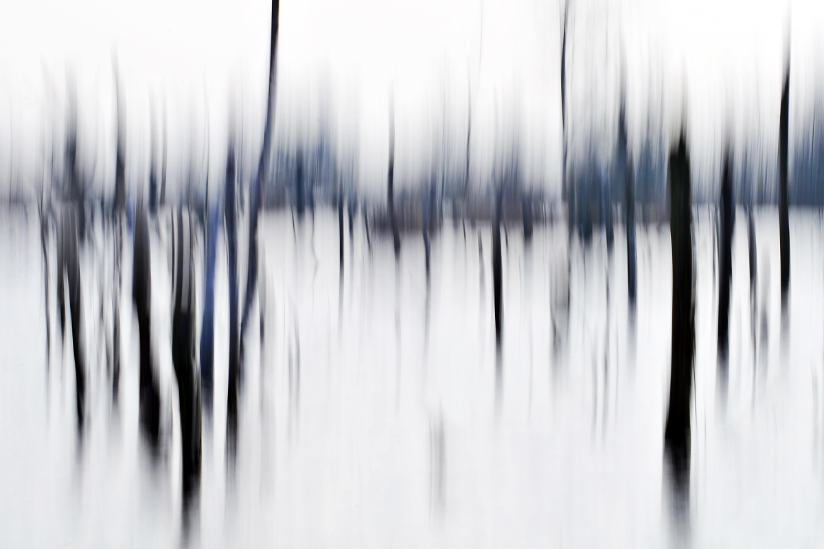 Moorwischer