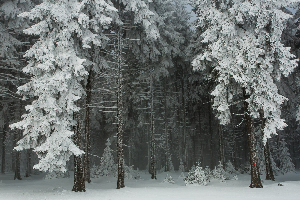 Winter im Erzgebirge