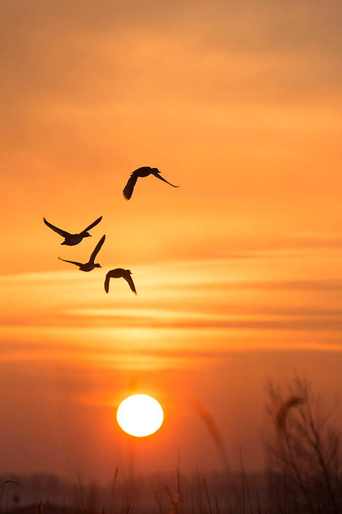 Sonnenaufgang