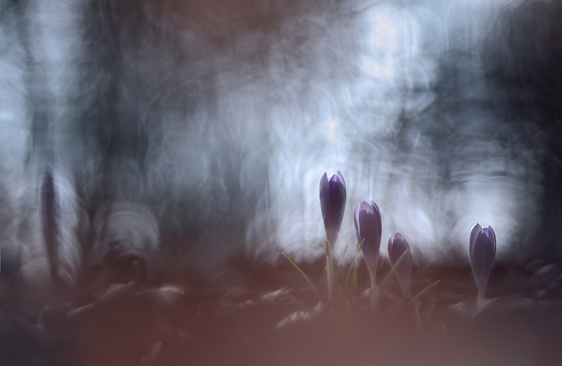 Zwischen Licht und Schatten....
