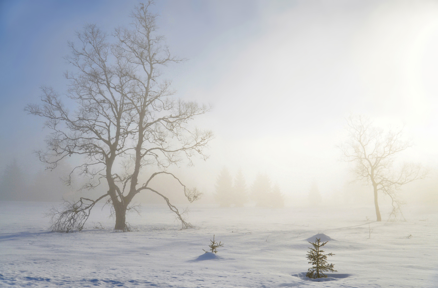 Winterliche Landschaft