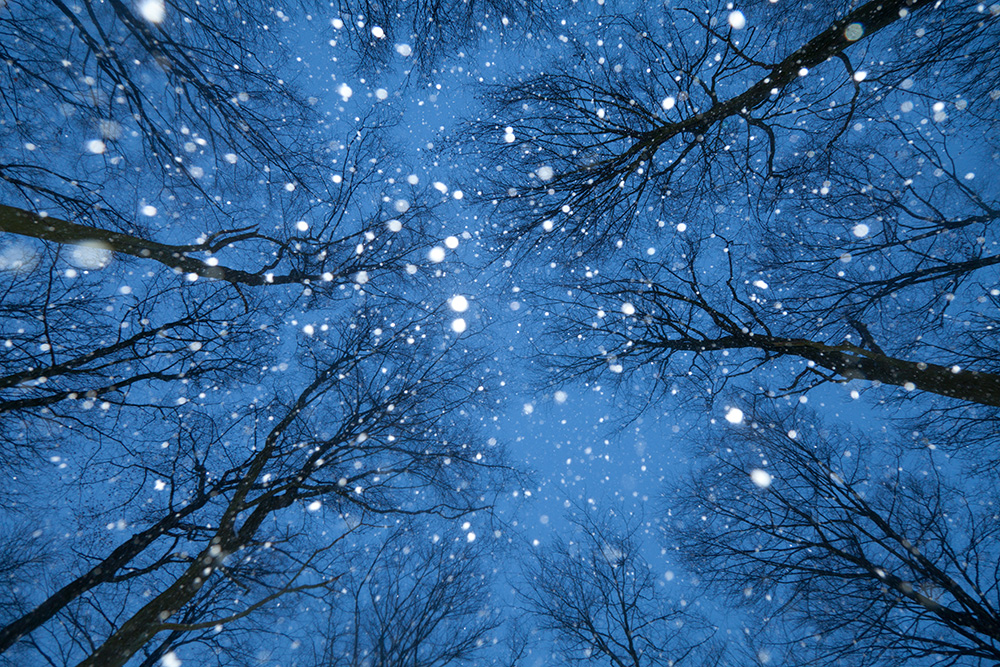 Schneefall