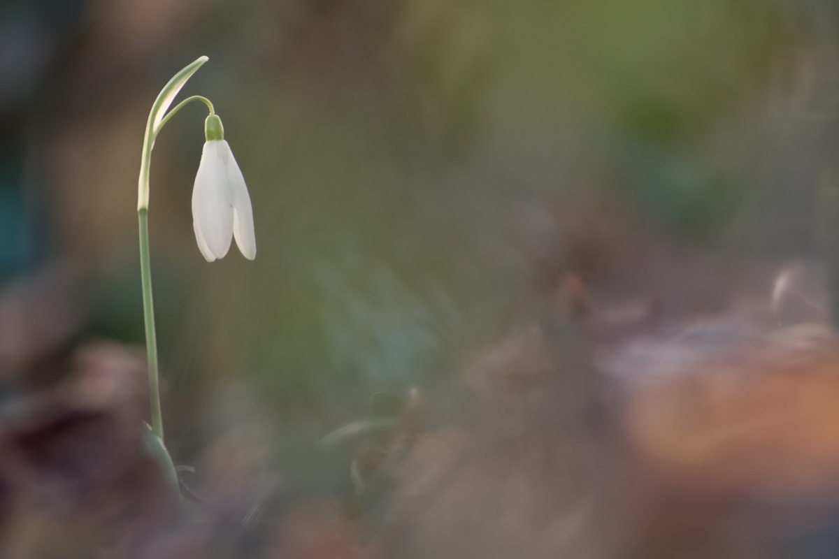 Der Frühling ist nicht mehr zu übersehen