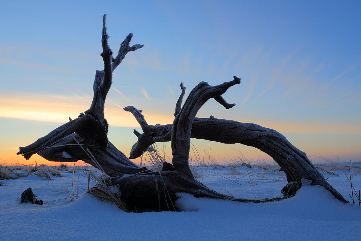 In der blauen Stunde