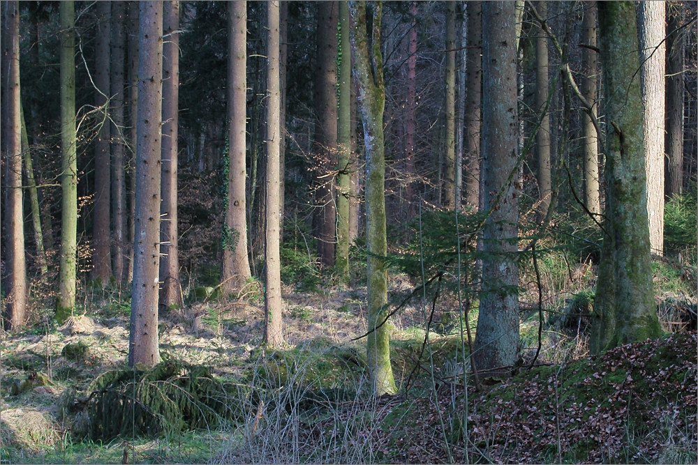 beim Bärenbach