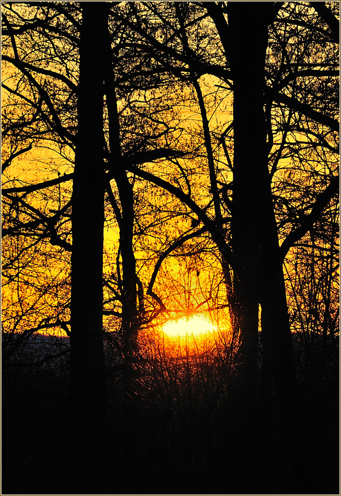 *Morgenfeuer*