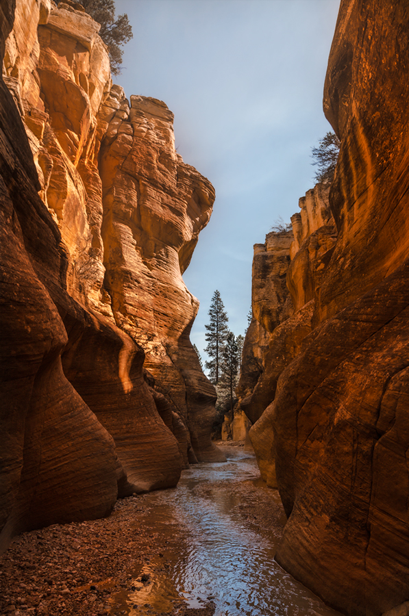 Willis Creek Canyon in Utah