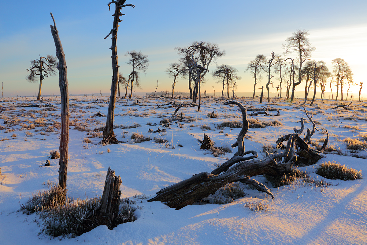 Sonnenaufgang im Winter