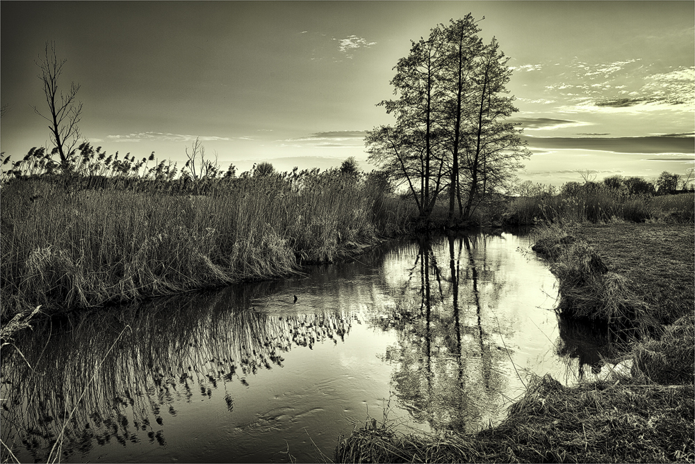 Abends an der Abens
