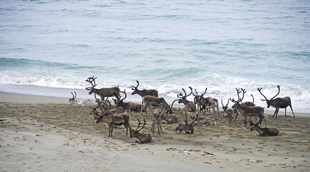 Versammlung am Meer