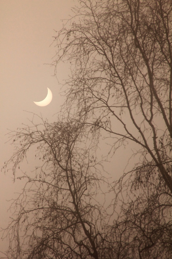 Sonnenfinsternis im Nebel