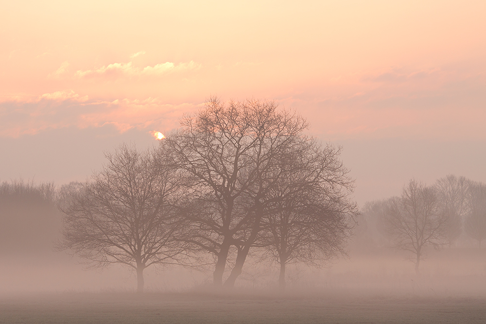 Morgenstimmung