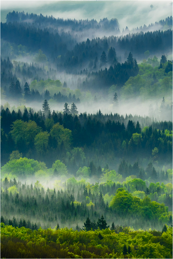 Allerlei Grün