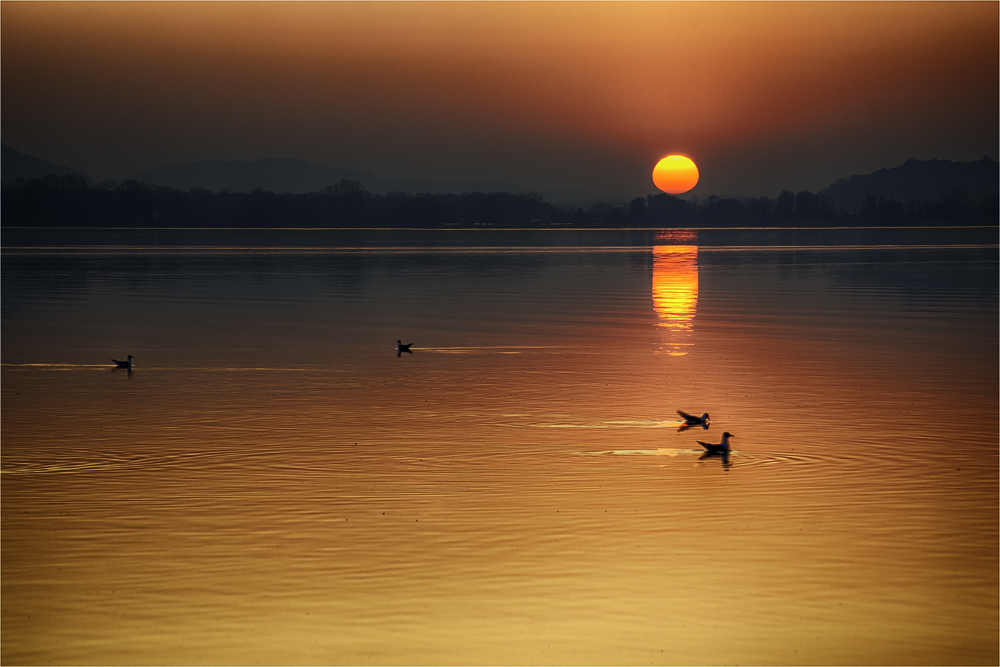 Am Zeller See