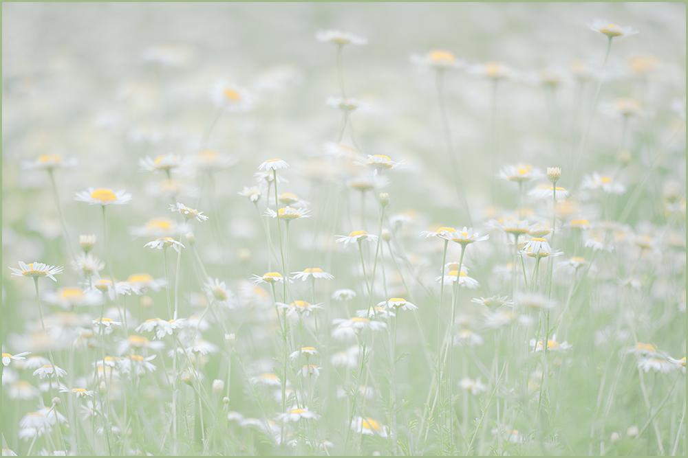 Gedanke an den Sommer