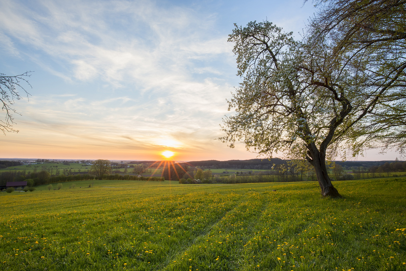 Frühling im Allgäu