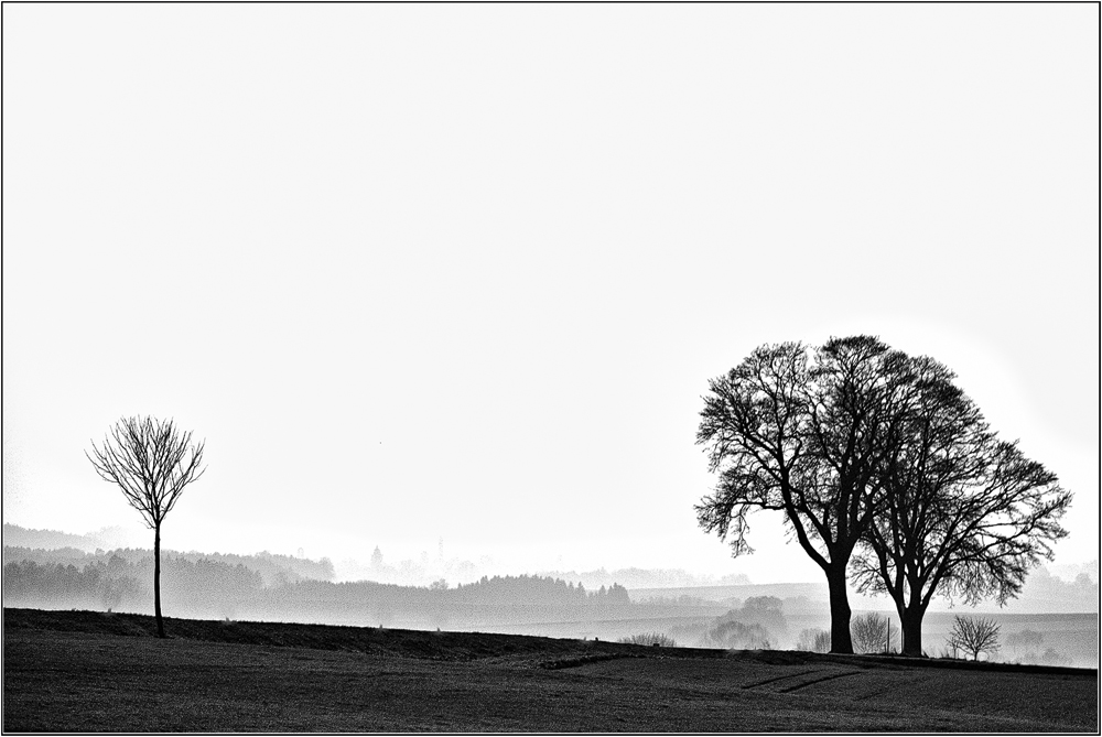 Abendlicher Frühlingsnebel