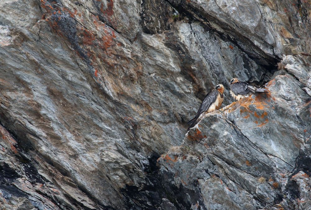 Die Farben der Felsen ...