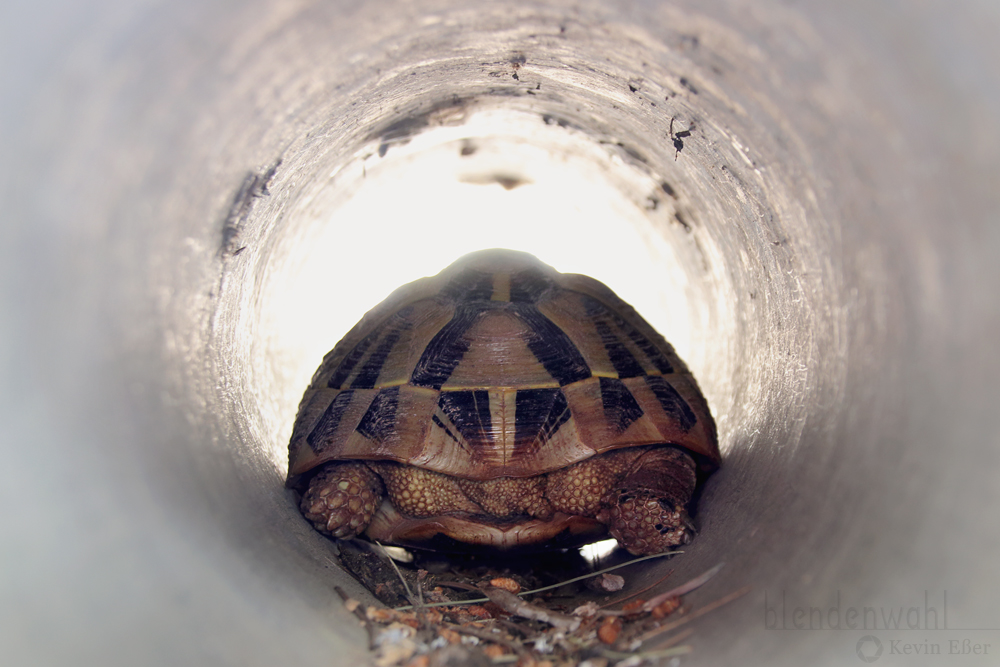 Licht am Ende des Tunnels!