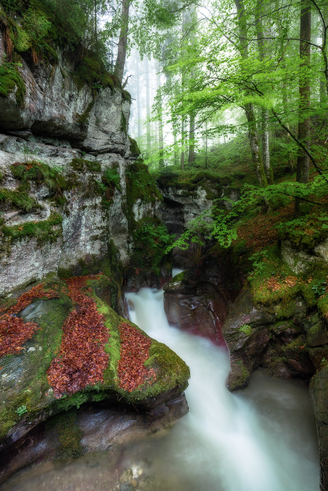 Märchenhafte Schlucht