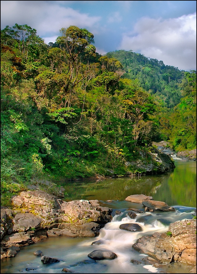 Ranomafana NP