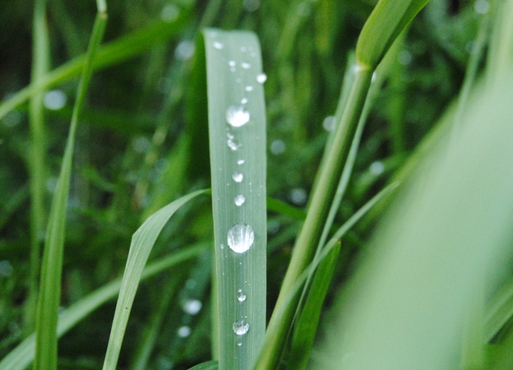 Regenwetter